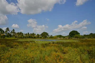 DSC_5145 (Large).JPG